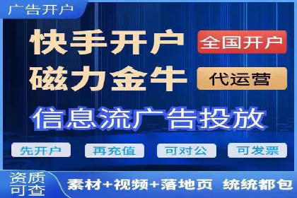 SEM广告投放中的数据监控与调整策略——以某品牌营销案例为例