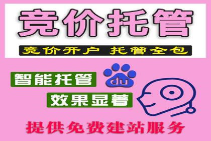 SEM托管实战案例：精准营销策略解析